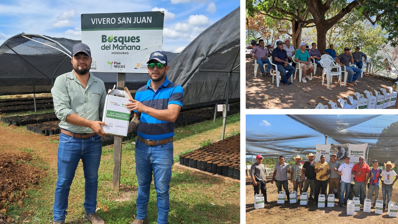 Bosques Honduras