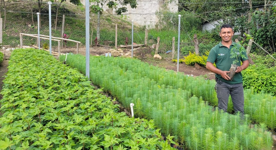 Ecosistemas